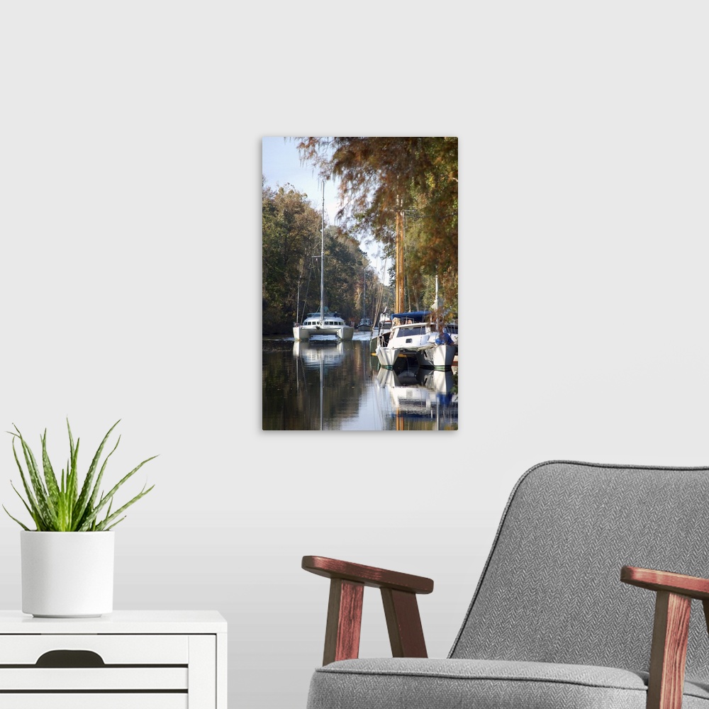 A modern room featuring Boating on the Dismal Swamp Canal, Camden County, North Carolina