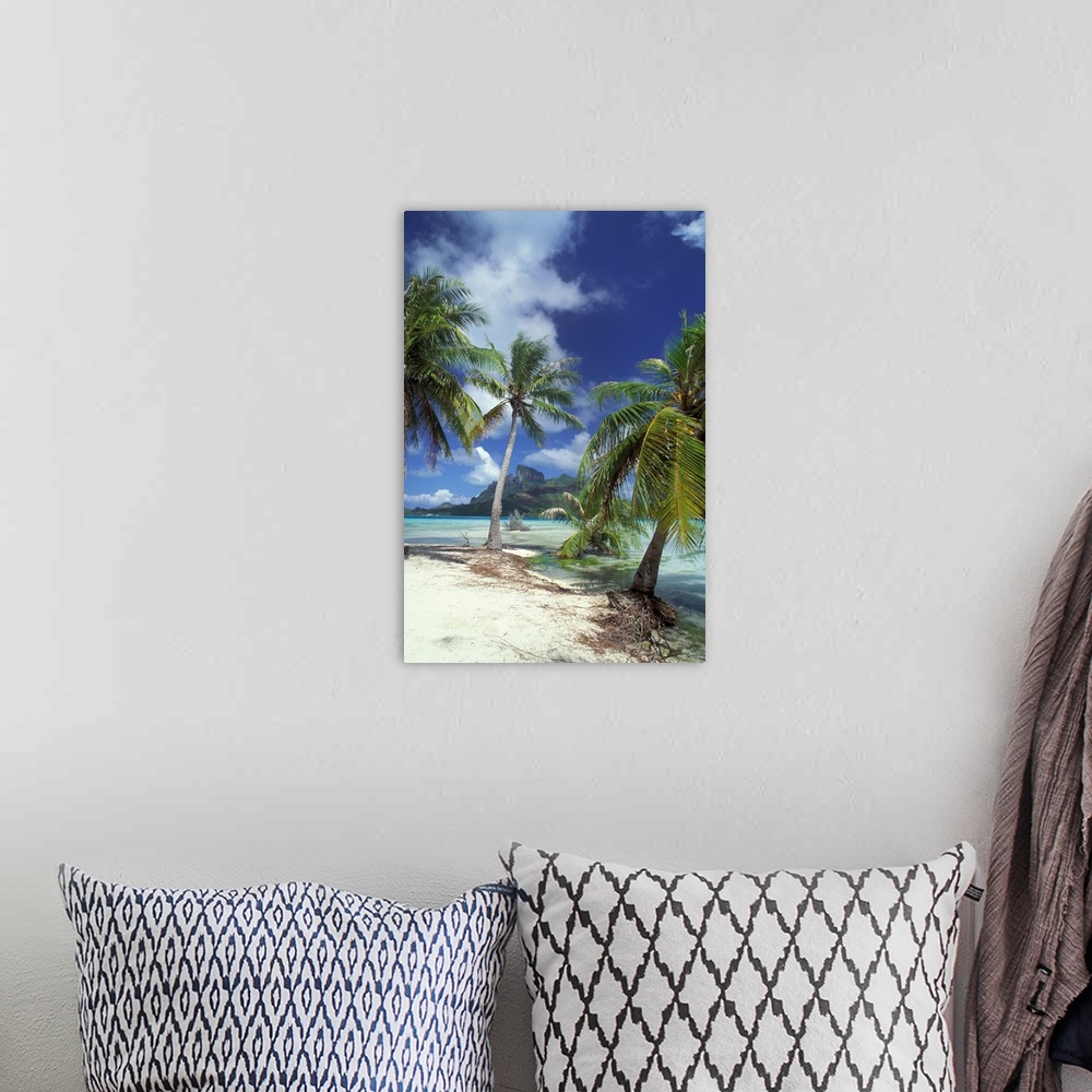 A bohemian room featuring Bora Bora, French Polynesia, Palm trees at shore.