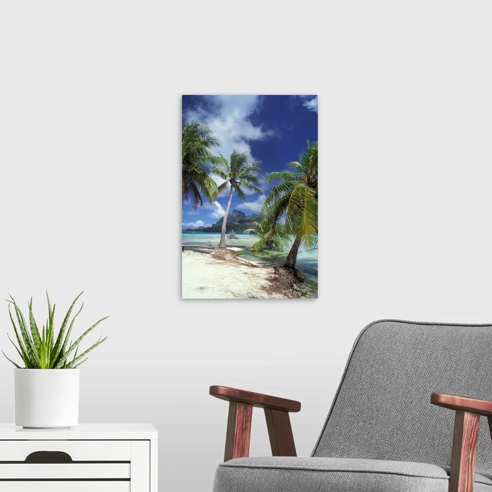 A modern room featuring Bora Bora, French Polynesia, Palm trees at shore.
