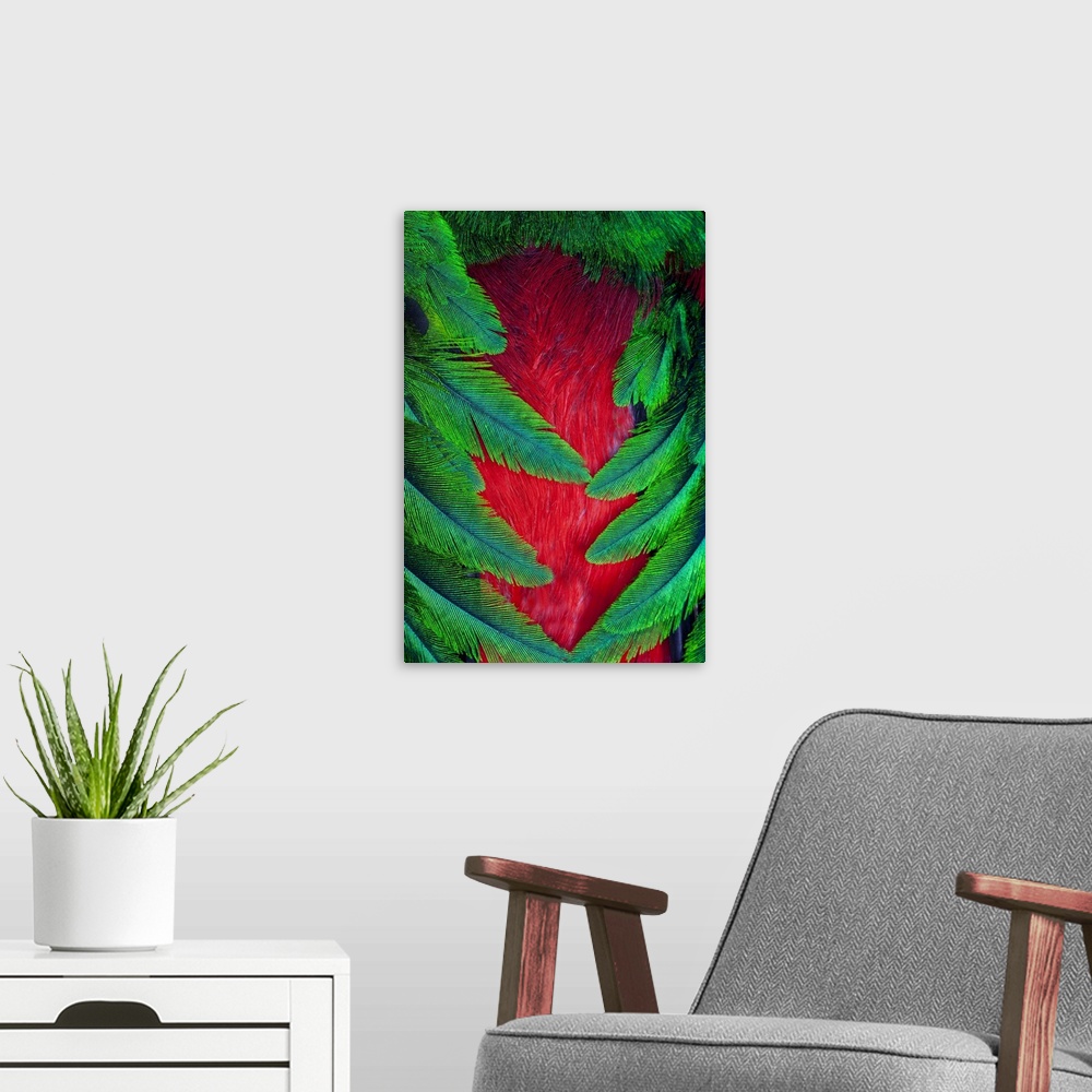 A modern room featuring Breast and wing feather design of the Resplendent Quetzal.