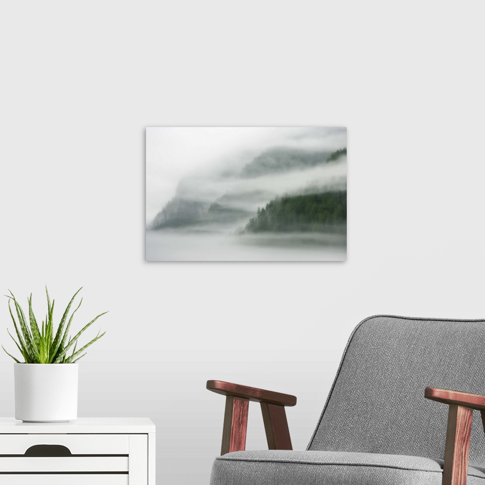 A modern room featuring Canada, British Columbia, Fiordland Recreation Area. Mist and fog shroud water and forested islan...