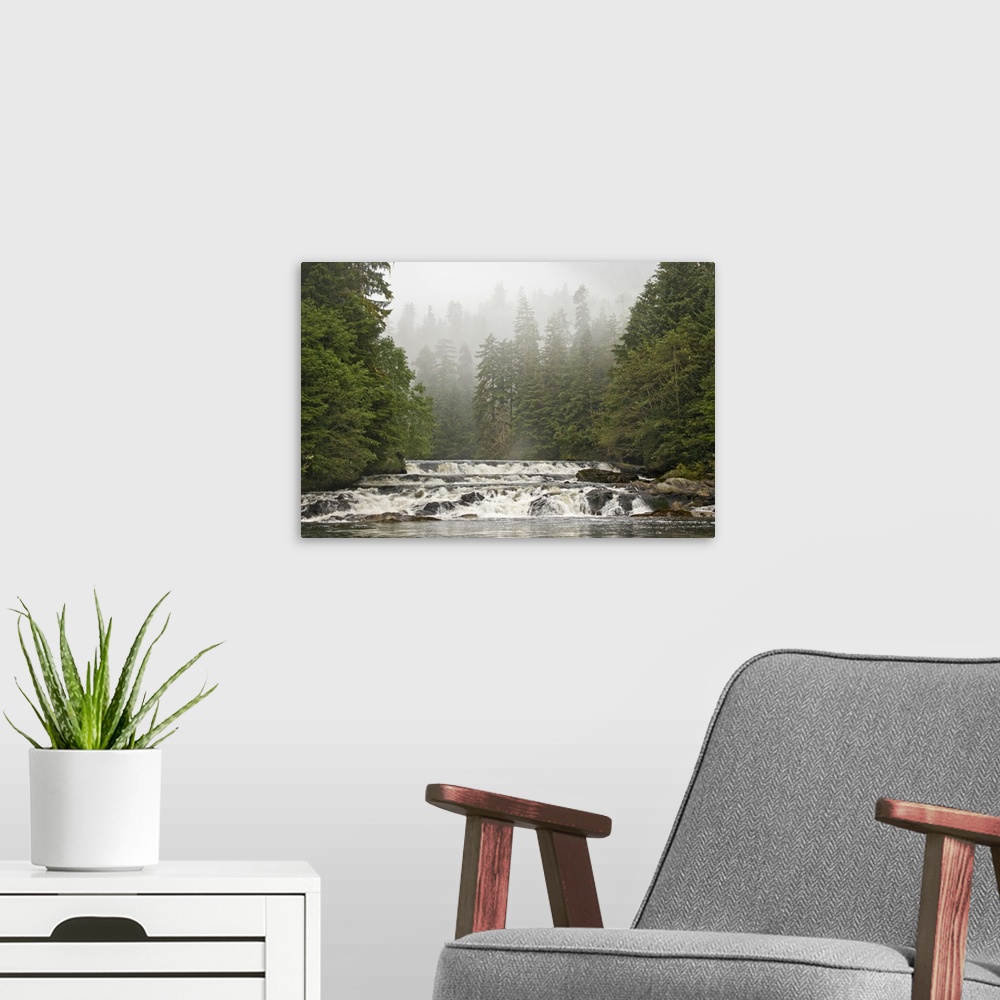 A modern room featuring Canada, British Columbia, Princess Royal Island. Canoona River waterfalls next to misty forest.  ...