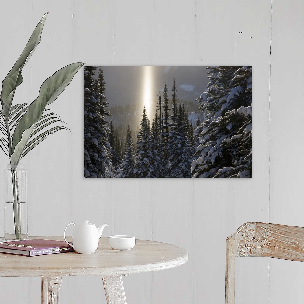 A farmhouse room featuring Canada, British Columbia, Smithers. A sun pillar of falling ice crystals and snow-laden spruce tr...