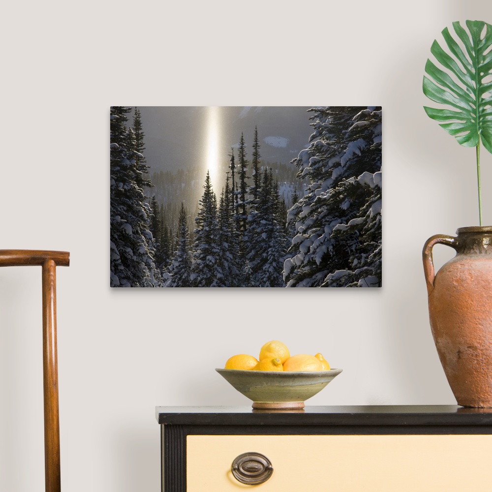 A traditional room featuring Canada, British Columbia, Smithers. A sun pillar of falling ice crystals and snow-laden spruce tr...