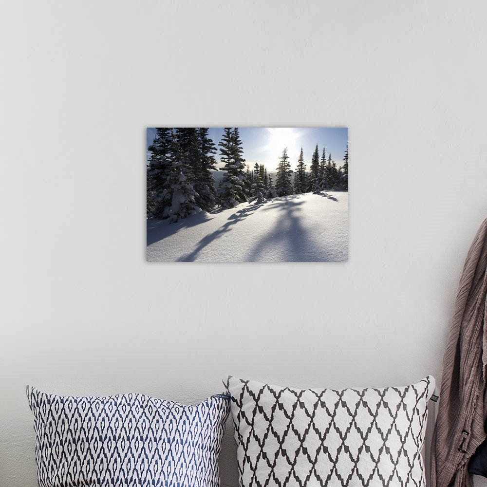 A bohemian room featuring Canada, British Columbia, Smithers. Snow-laden spruce trees cast shadows across sunlit snow. Cred...