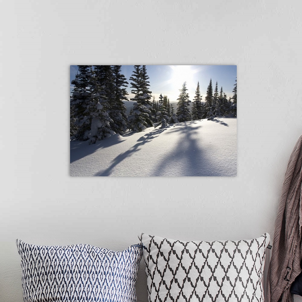 A bohemian room featuring Canada, British Columbia, Smithers. Snow-laden spruce trees cast shadows across sunlit snow. Cred...
