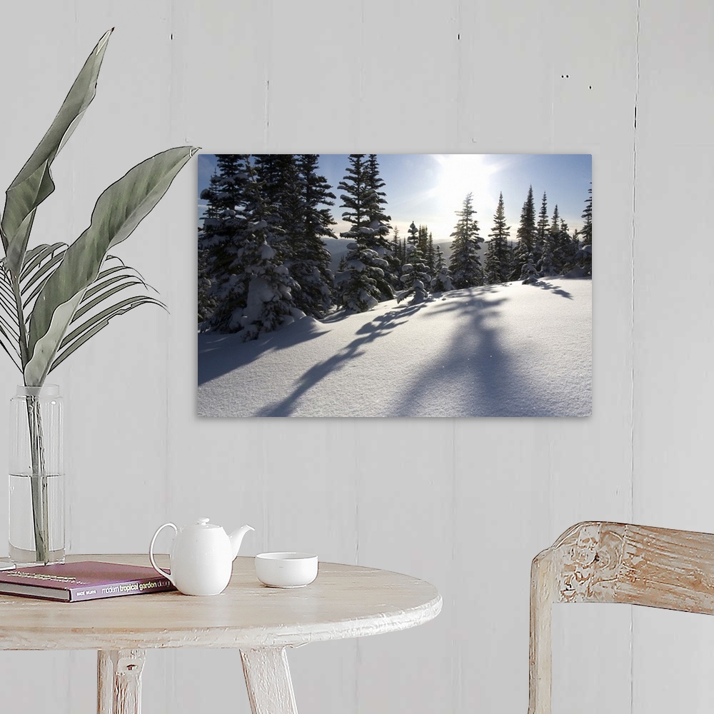A farmhouse room featuring Canada, British Columbia, Smithers. Snow-laden spruce trees cast shadows across sunlit snow. Cred...