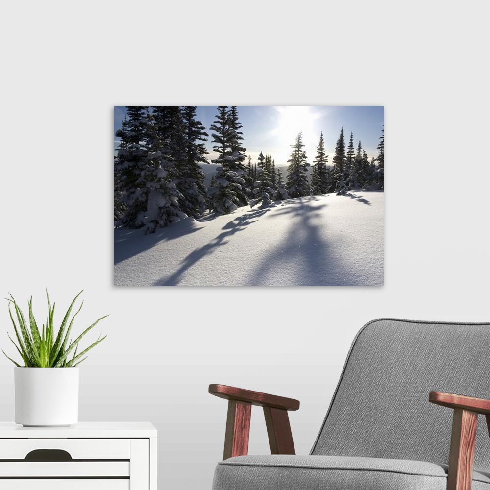 A modern room featuring Canada, British Columbia, Smithers. Snow-laden spruce trees cast shadows across sunlit snow. Cred...