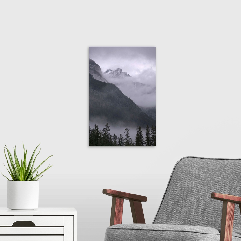 A modern room featuring British Columbia, Yoho National Park, Mountains and Mist