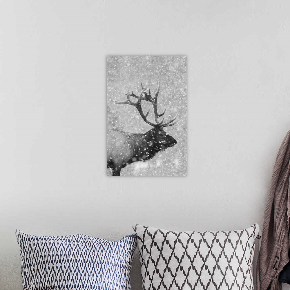 A bohemian room featuring Bull elk, autumn snow.