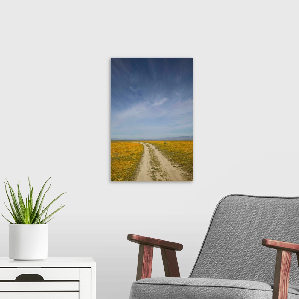 A modern room featuring NA, USA, CA, Antelope Valley. Road through CA Poppies