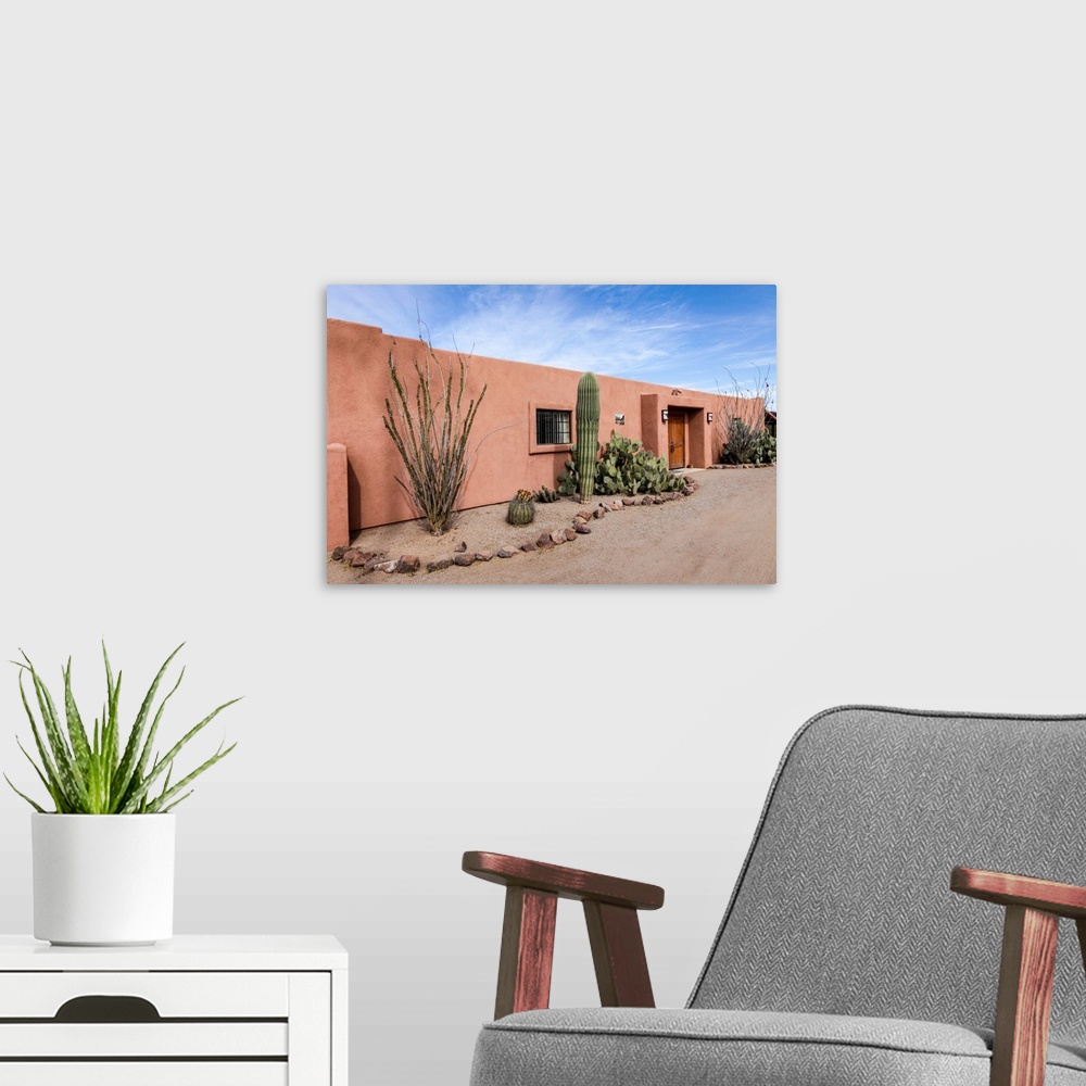 A modern room featuring Cactus outside an adobe building, Tucson, Arizona, United States.