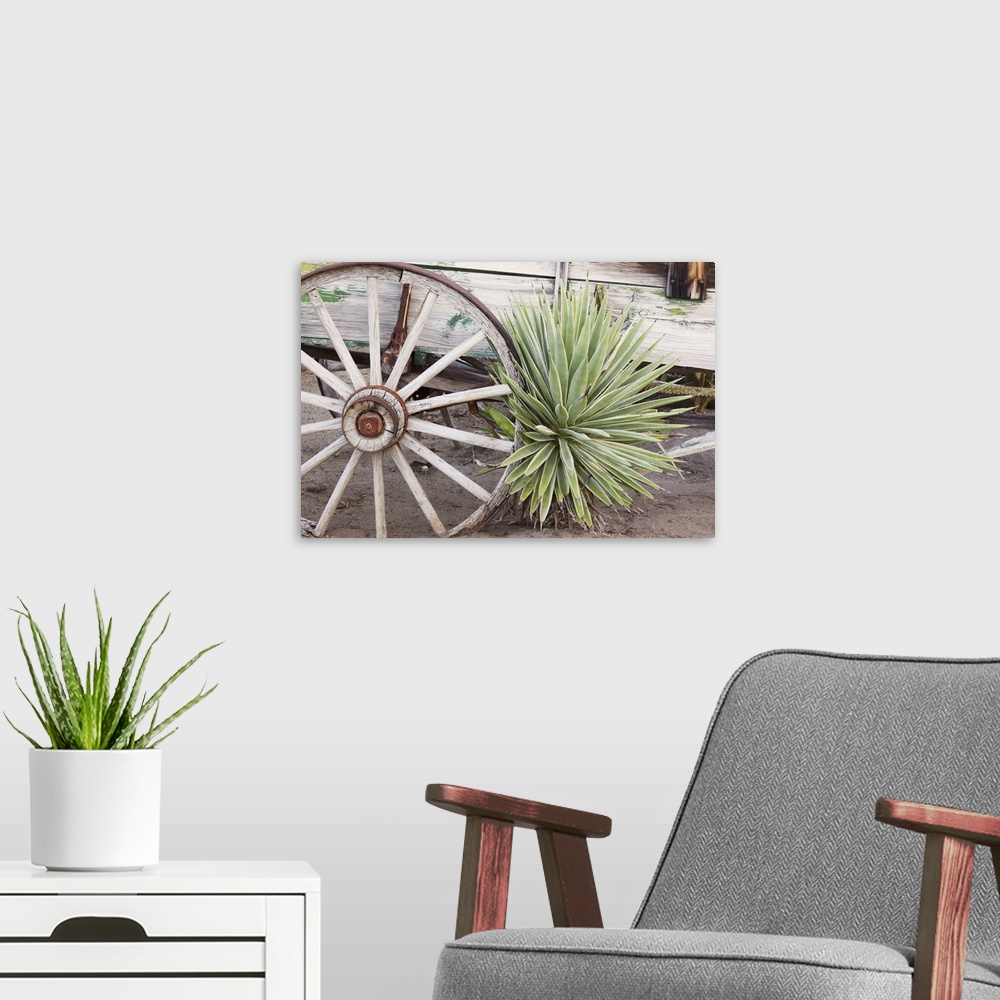 A modern room featuring California, Anza-Borrego Desert State Park, desert agave plant and wagon..