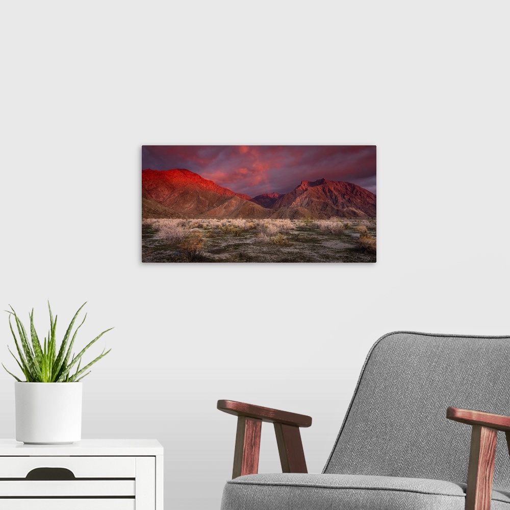A modern room featuring USA, California, Anza-Borrego Desert State Park. Desert landscape and mountains at sunrise.