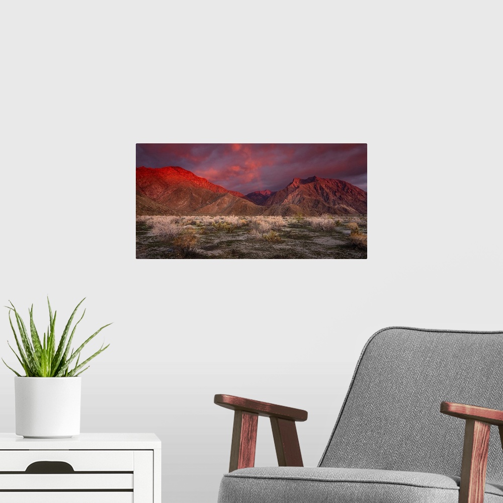 A modern room featuring USA, California, Anza-Borrego Desert State Park. Desert landscape and mountains at sunrise.