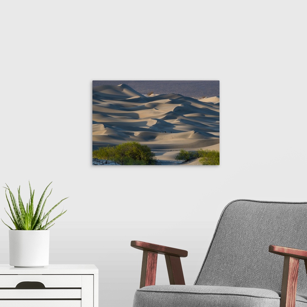 A modern room featuring North America, USA, California, Death Valley National Park.  Sunset  shadow on sea of sand dunes,...