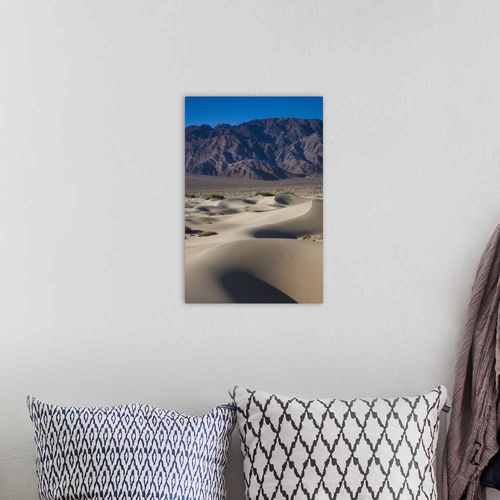 A bohemian room featuring USA, California, Death Valley National Park, Mesquite Flat Sand Dunes, dawn