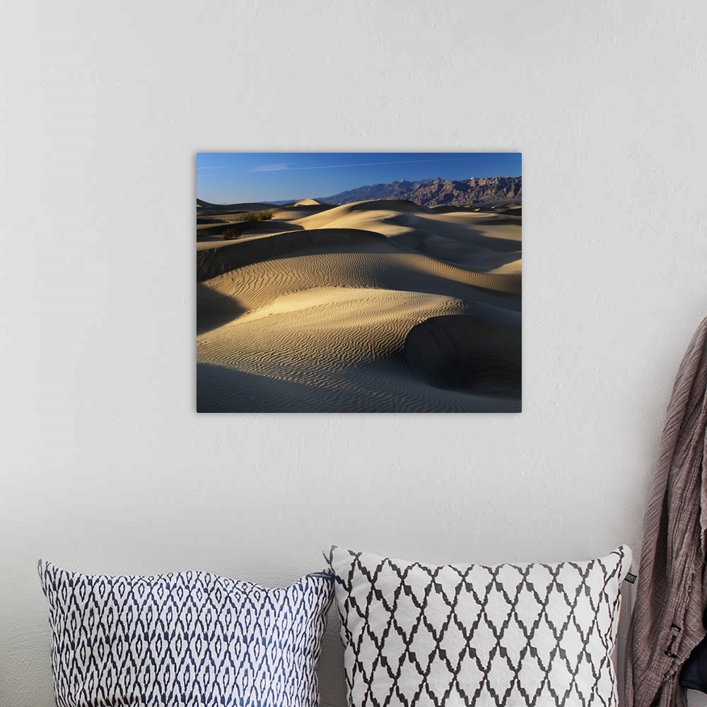 A bohemian room featuring USA, California, Death Valley National Park, Mojave Desert, view of sand dunes at sunset.