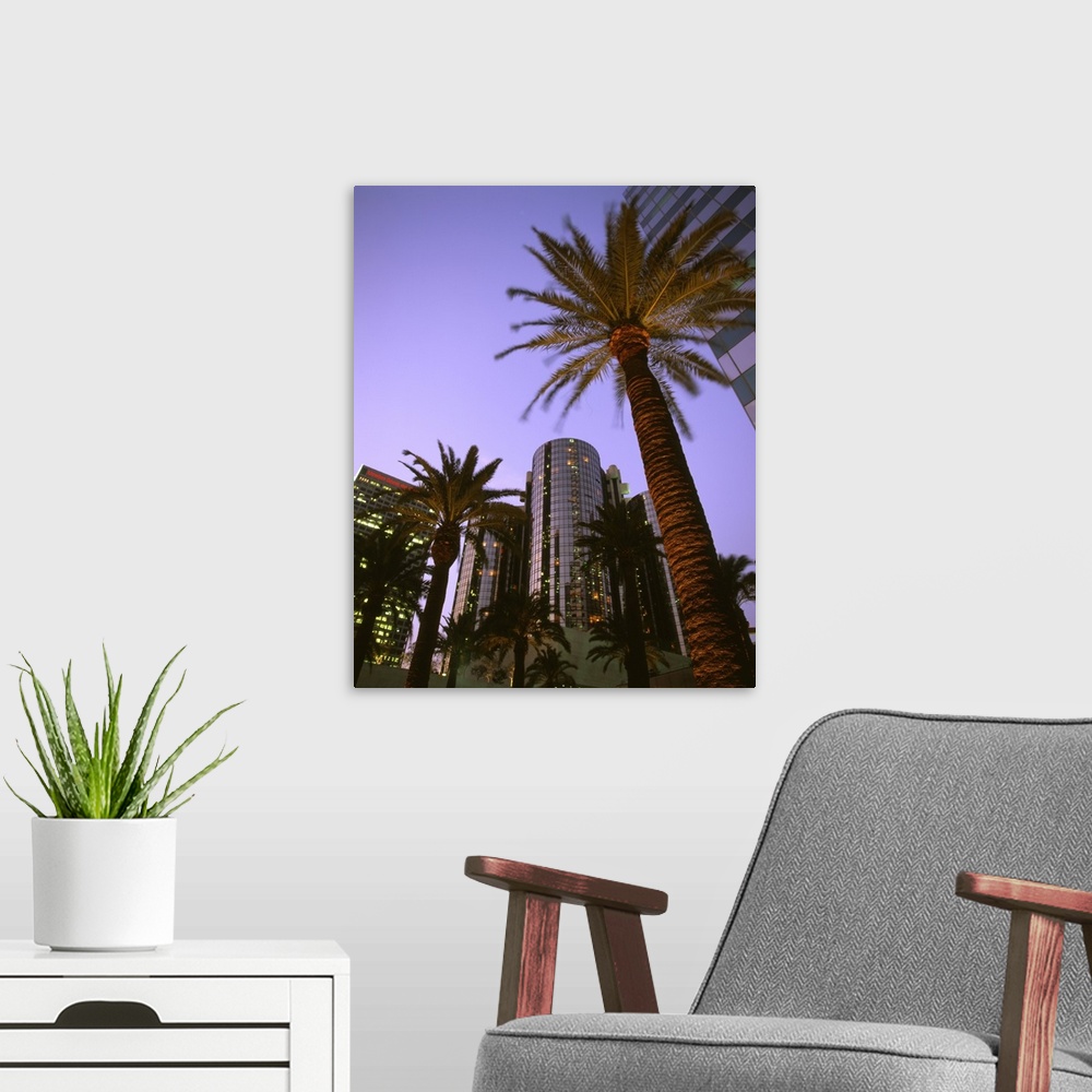 A modern room featuring U.S.A., California, Los Angeles.Downtown area, palms and Bonaventure Hotel