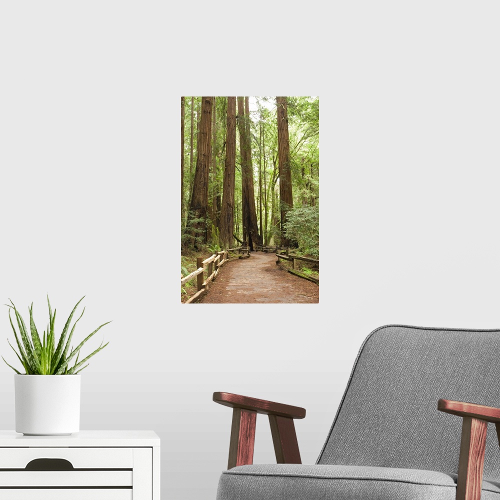 A modern room featuring California, Marin County, Muir Woods National Monument.