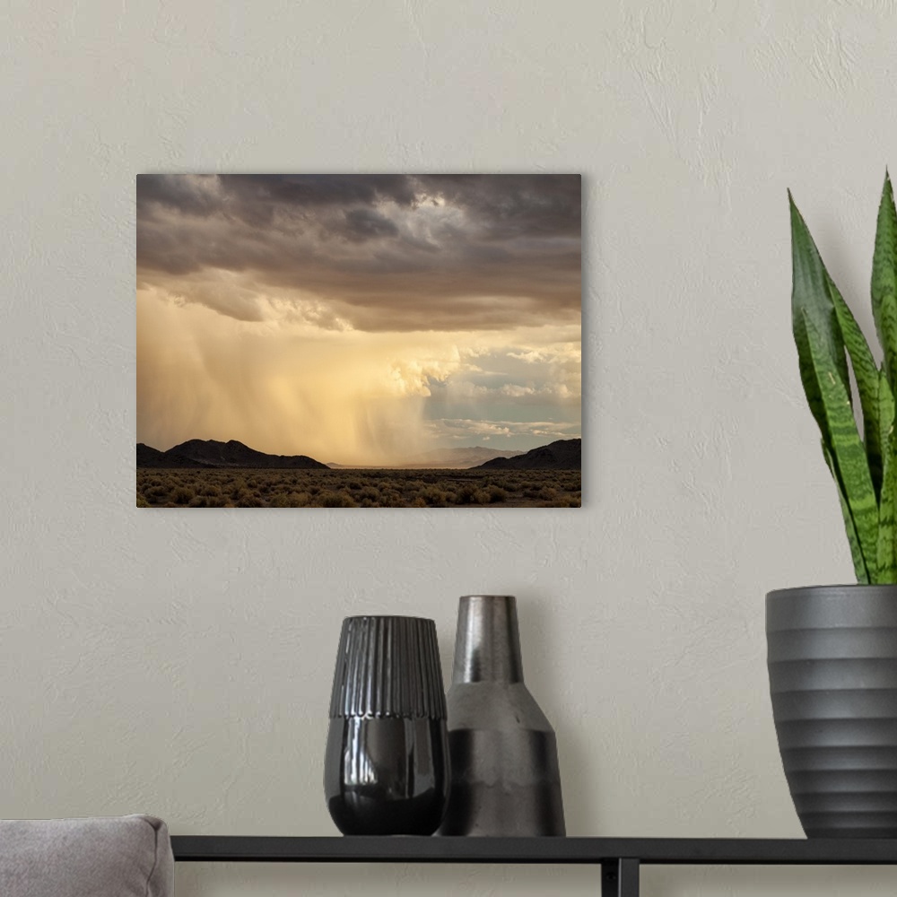 A modern room featuring USA, California, Mojave National Preserve, Desert rain squall at sunset