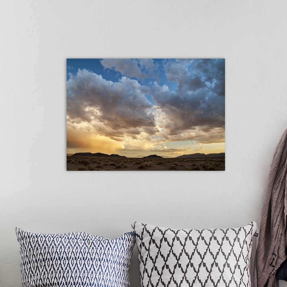 A bohemian room featuring USA, California, Mojave National Preserve, Desert rain squall at sunset