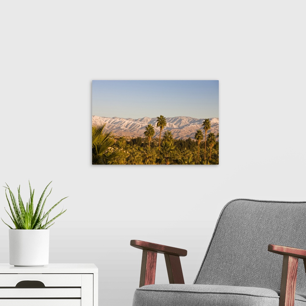 A modern room featuring USA, California, Palm Springs. Palms and San Bernardino Mountains, sunrise.