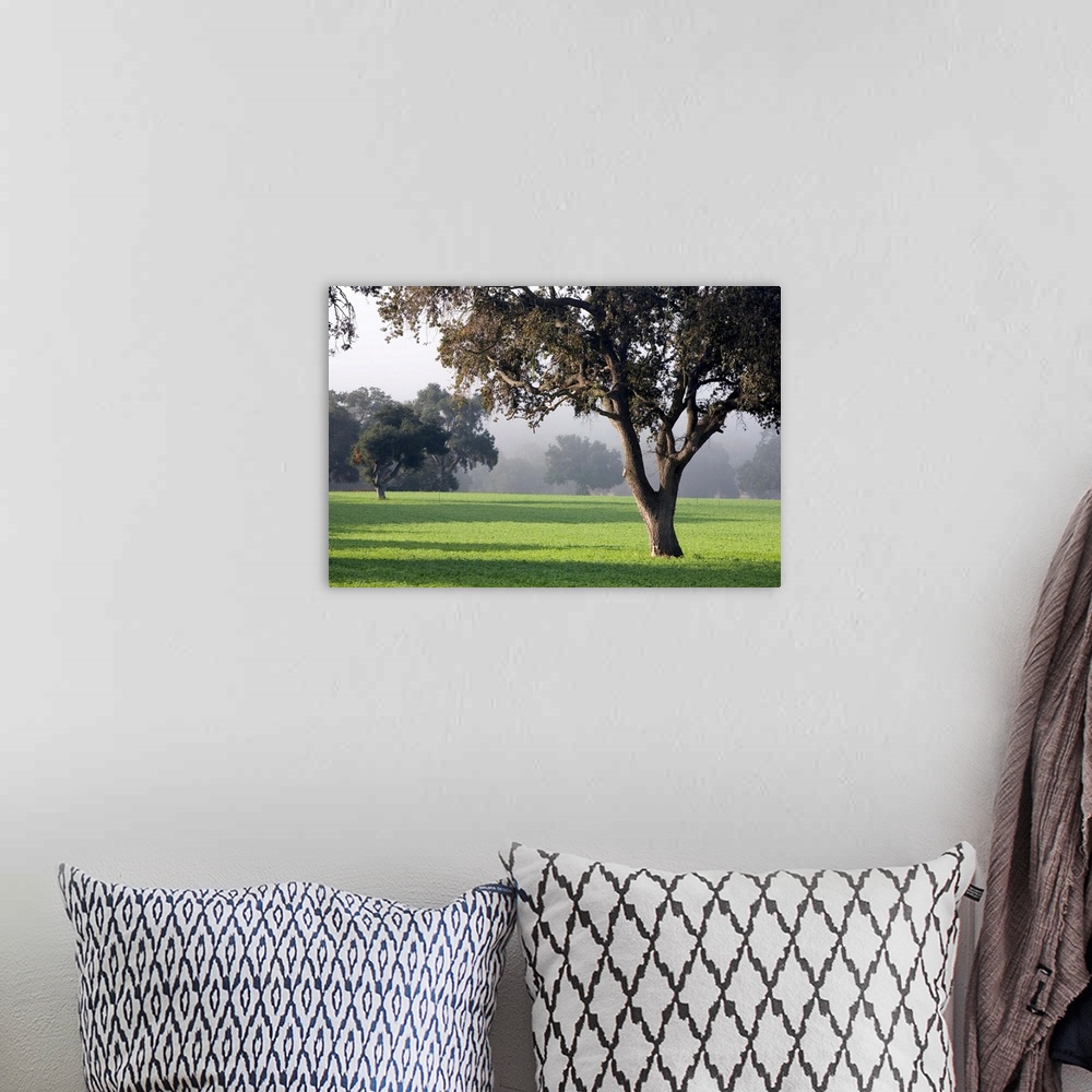 A bohemian room featuring California, Santa Ynez Valley, oak trees dot meadows near Santa Barbara