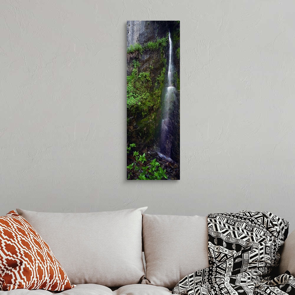 A bohemian room featuring North America, United States, West, California, Sequoia National Park. Rare waterfall tumbles thr...