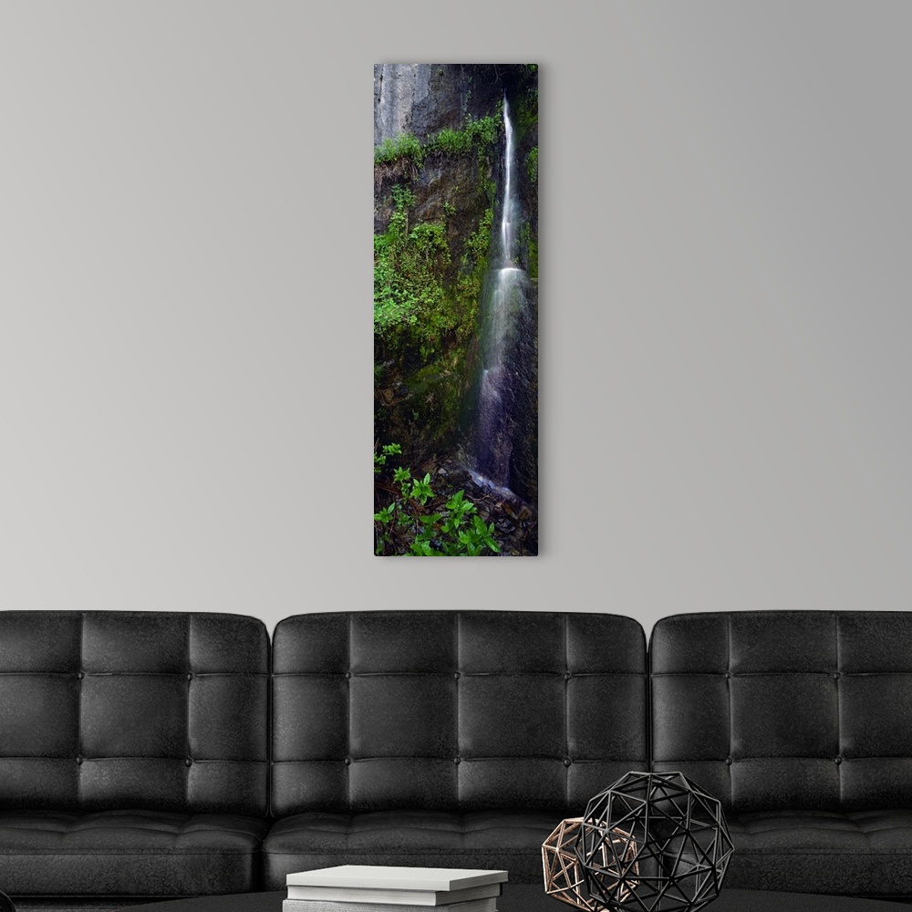 A modern room featuring North America, United States, West, California, Sequoia National Park. Rare waterfall tumbles thr...