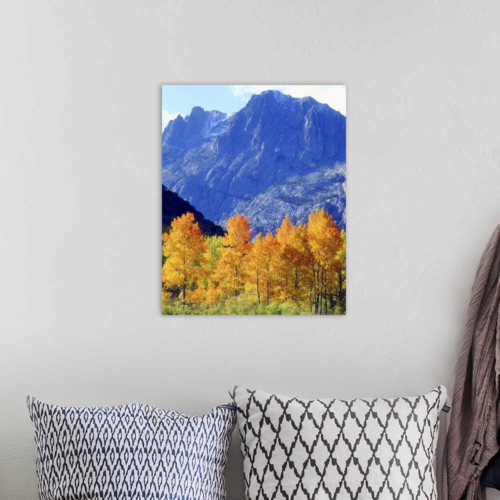 A bohemian room featuring USA, California, Sierra Nevada Mountains. Autumn colors on trees in valley.