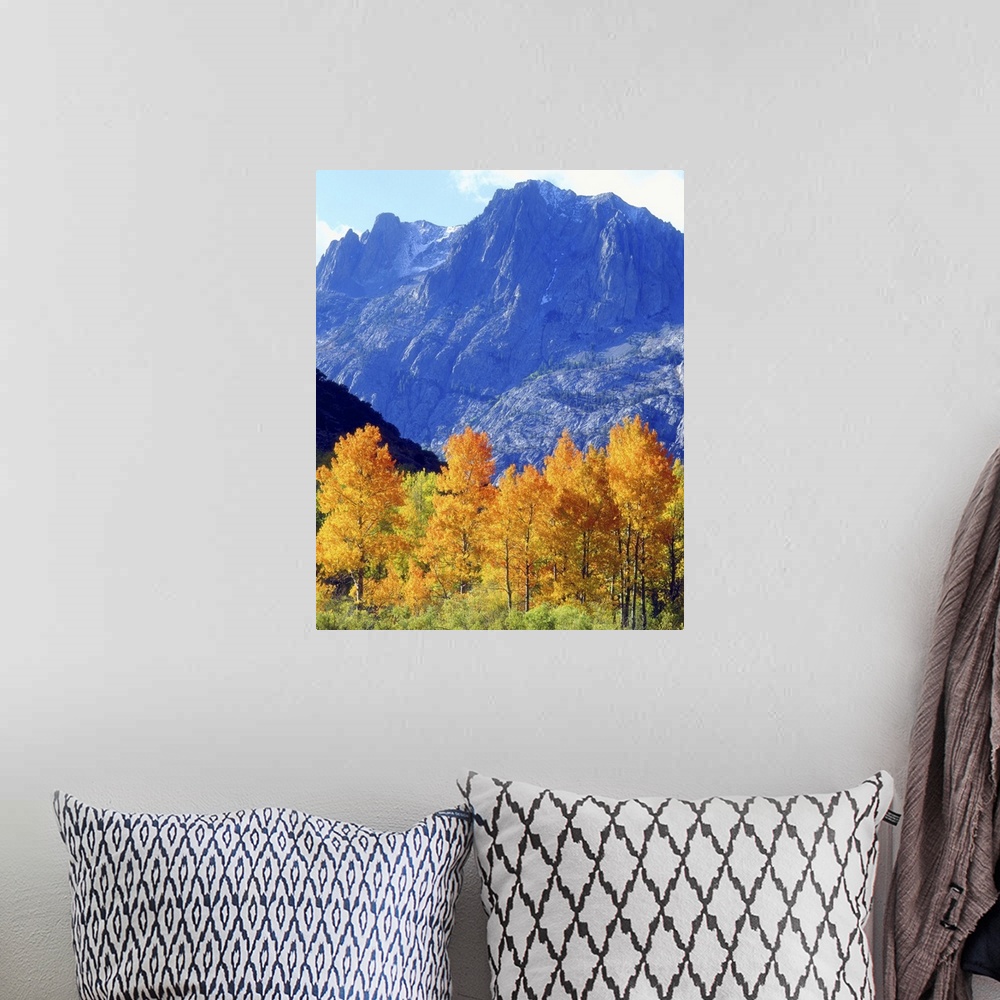 A bohemian room featuring USA, California, Sierra Nevada Mountains. Autumn colors on trees in valley.