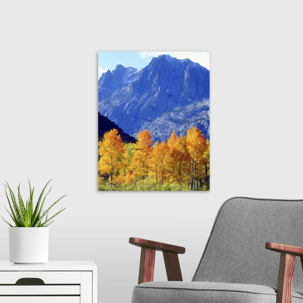 A modern room featuring USA, California, Sierra Nevada Mountains. Autumn colors on trees in valley.