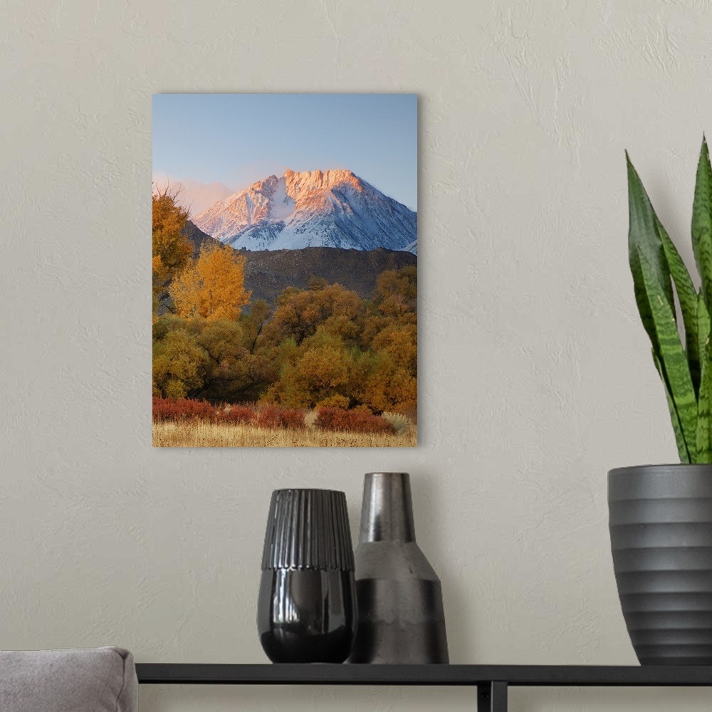 A modern room featuring USA, California, Sierra Nevada Mountains. Snow-covered Basin Mountain seen from the floor of the ...
