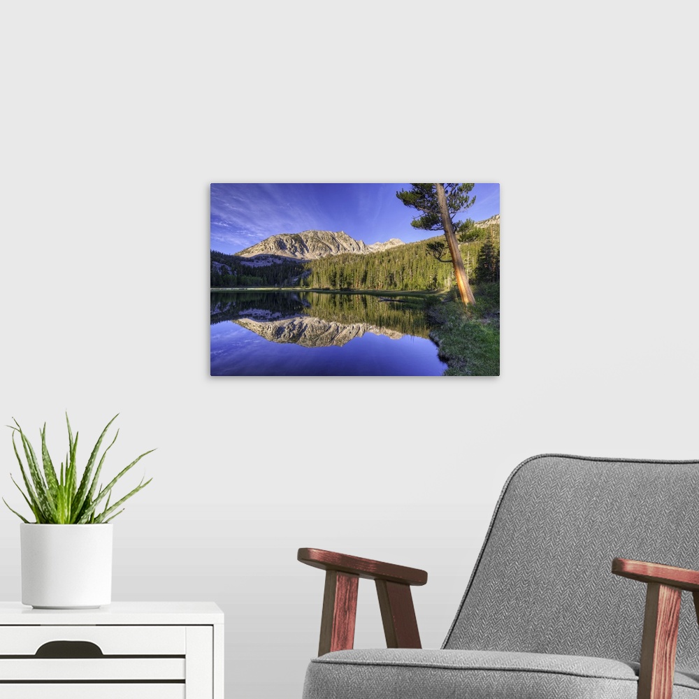 A modern room featuring USA, California, Sierra Nevada Mountains. Calm reflections in Grass Lake.