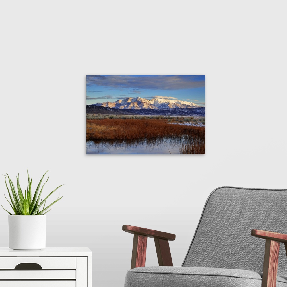 A modern room featuring USA, California. White Mountains and reeds in pond. Credit: Dennis Flaherty / Jaynes Gallery