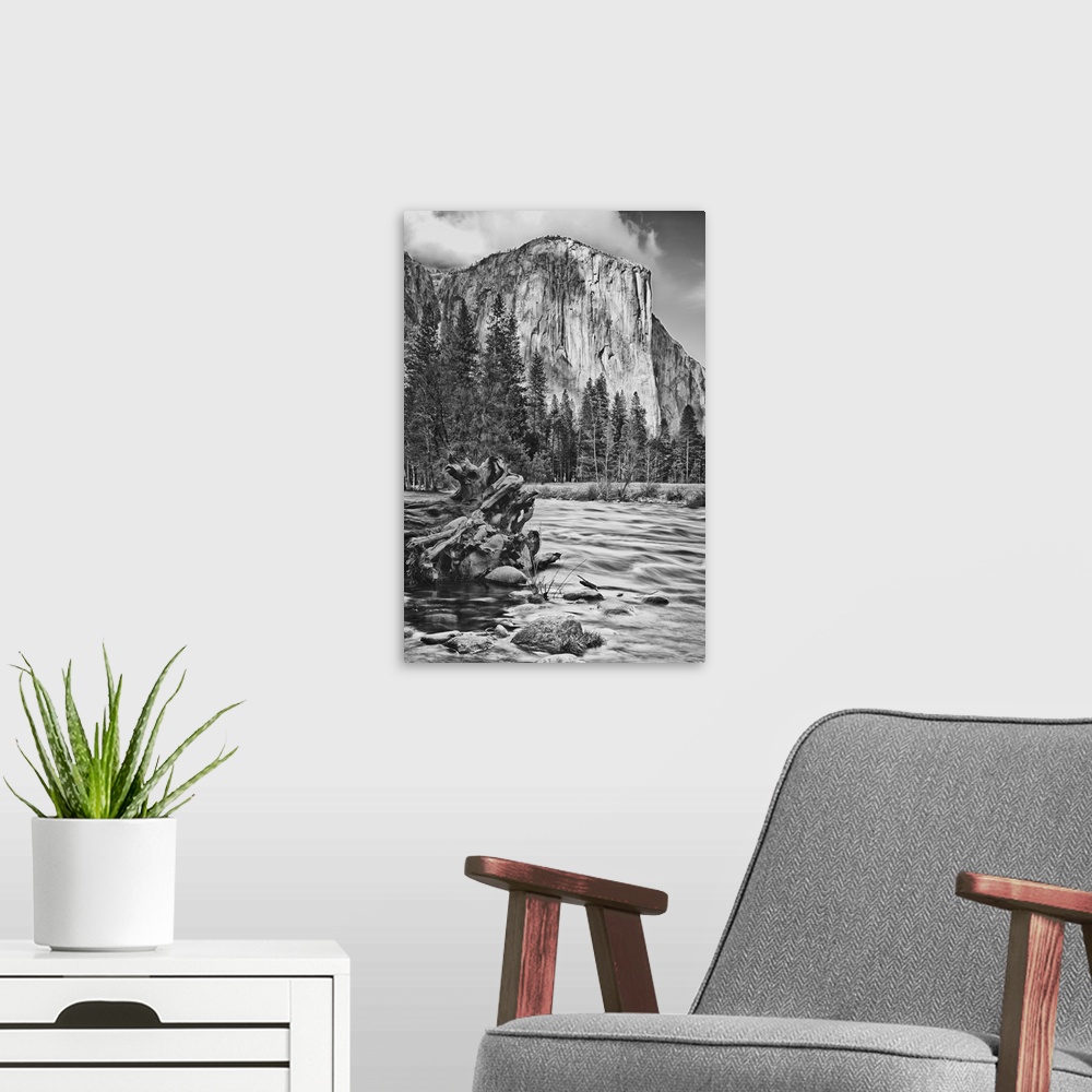A modern room featuring USA California Yosemite El Capitan
