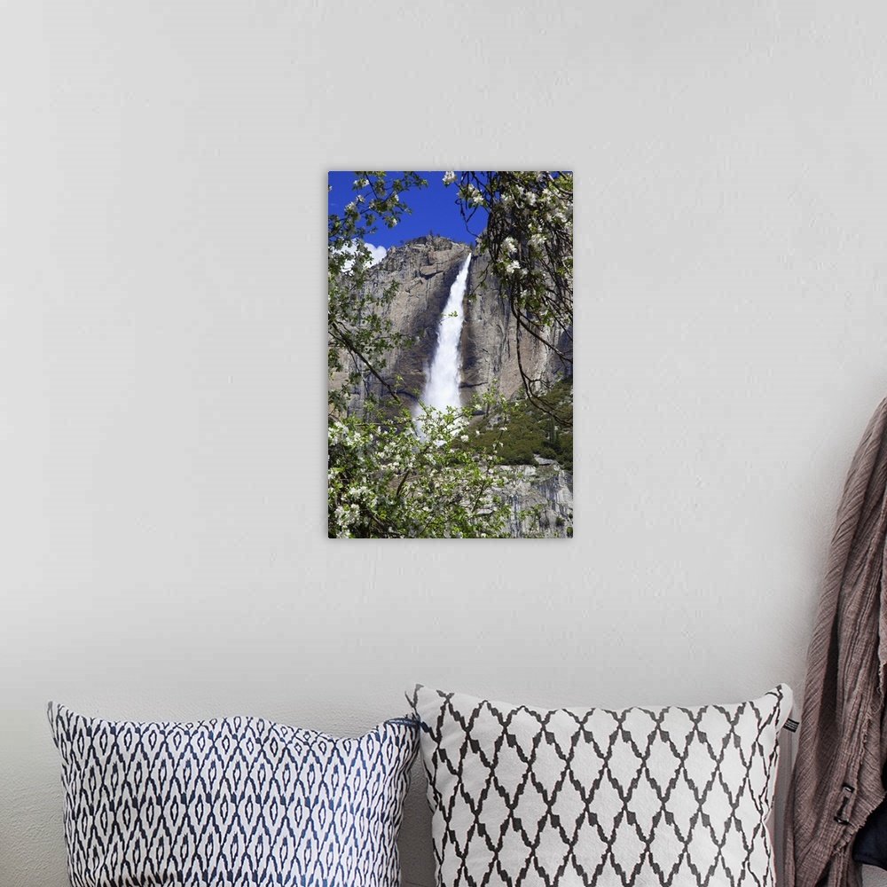 A bohemian room featuring USA, California, Yosemite National Park. Blooms from an apple tree and Upper Yosemite Falls.