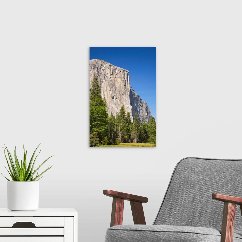 A modern room featuring California, Yosemite National Park, El .Capitan