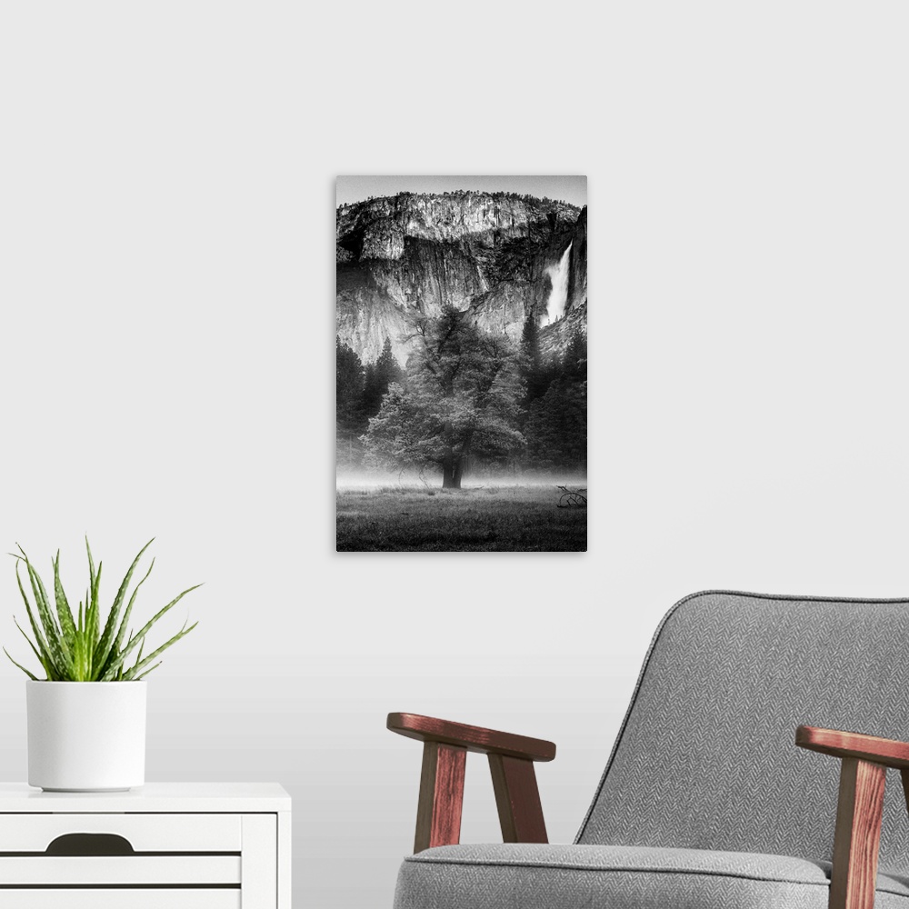 A modern room featuring North America, USA, California, Yosemite National Park.  Black and White image of  mist among the...
