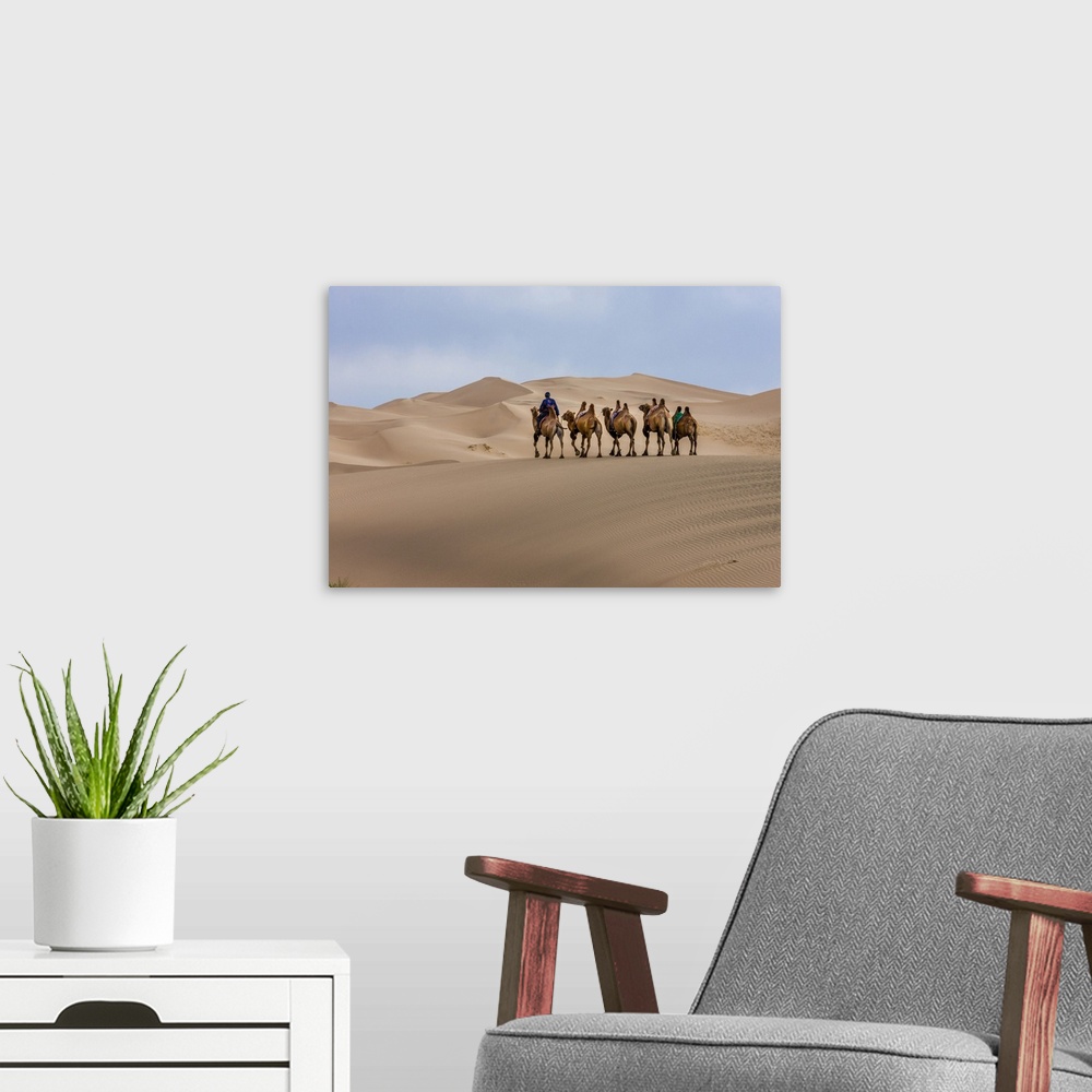 A modern room featuring Camel Caravan in the Dunes. Gobi Desert. Mongolia.