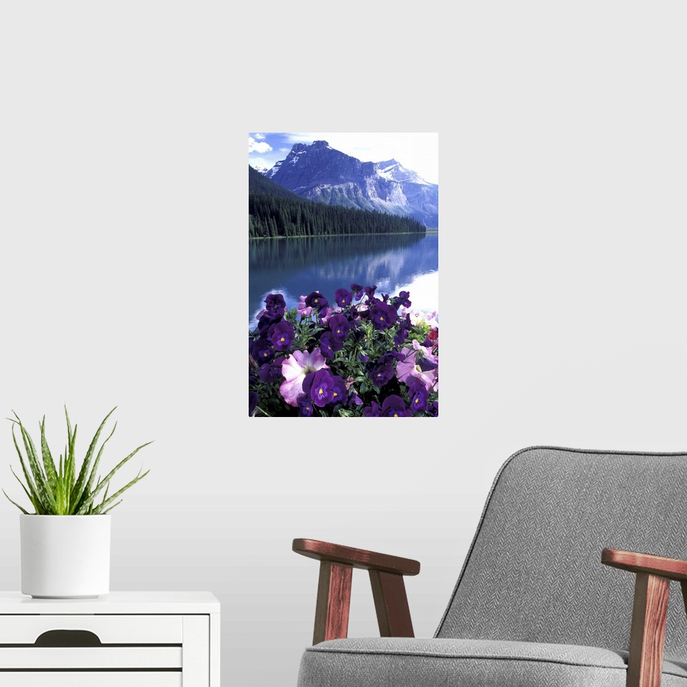A modern room featuring NA, Canada, Alberta, Banff National Park.Pansies and Emerald Lake