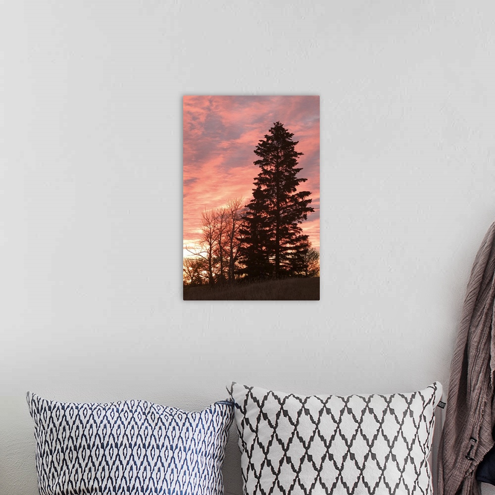 A bohemian room featuring Canada, Alberta, Edmonton, Dramatic Sunrise from Forest Heights Park