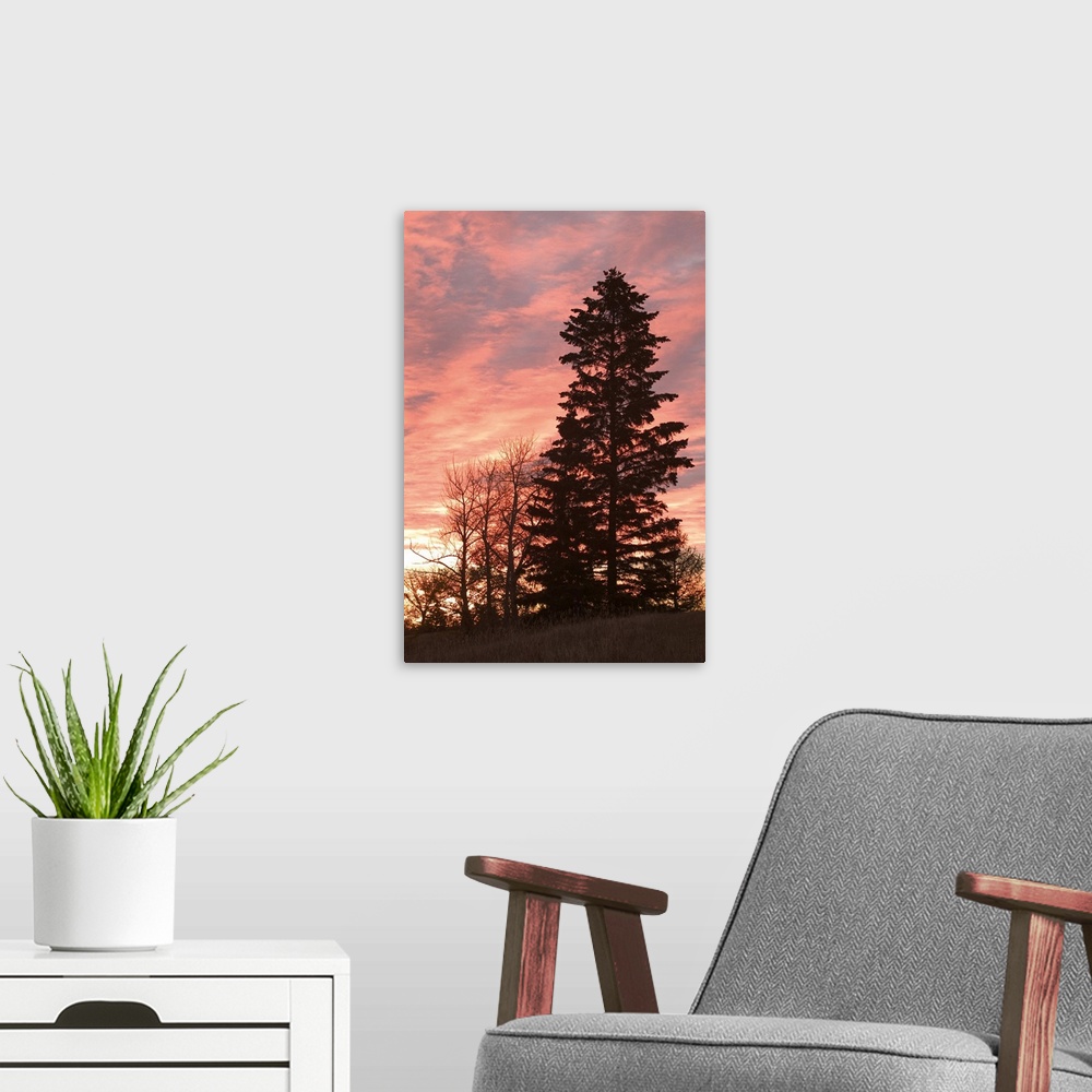 A modern room featuring Canada, Alberta, Edmonton, Dramatic Sunrise from Forest Heights Park