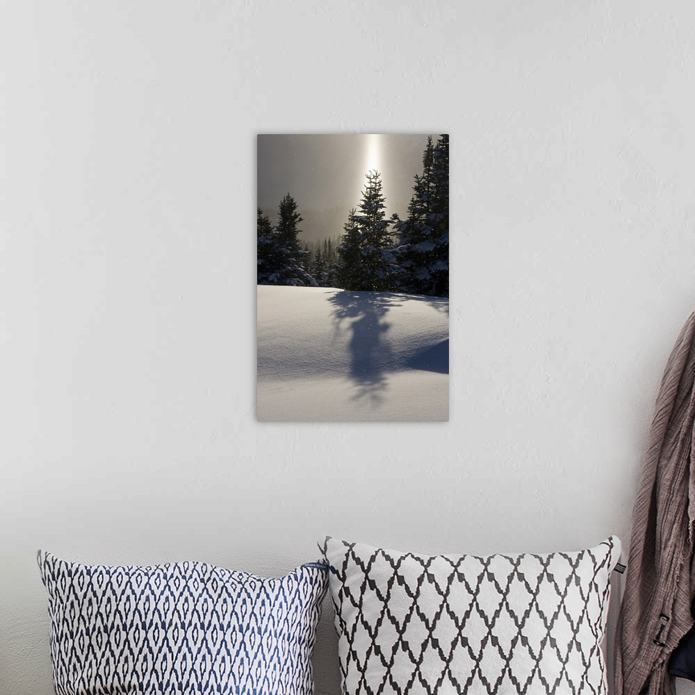 A bohemian room featuring Canada, British Columbia, Smithers. A sun pillar of falling ice crystals and snow-laden spruce tr...