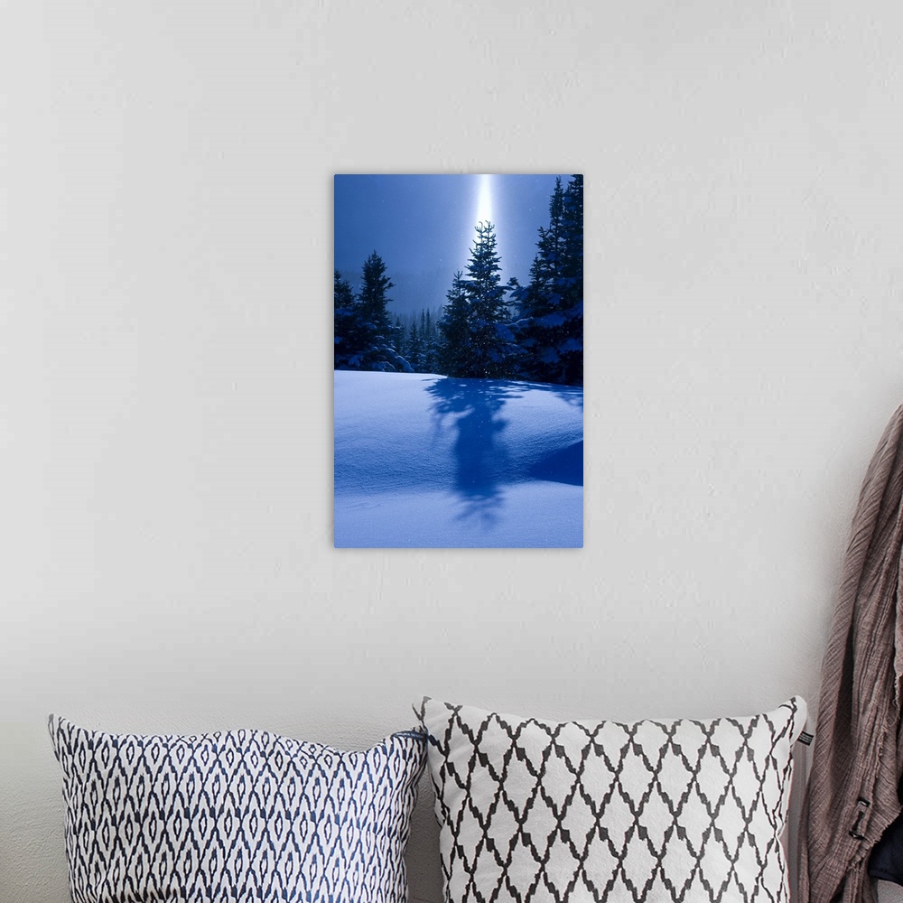 A bohemian room featuring Canada, British Columbia, Smithers. A sun pillar of falling ice crystals and snow-laden spruce tr...