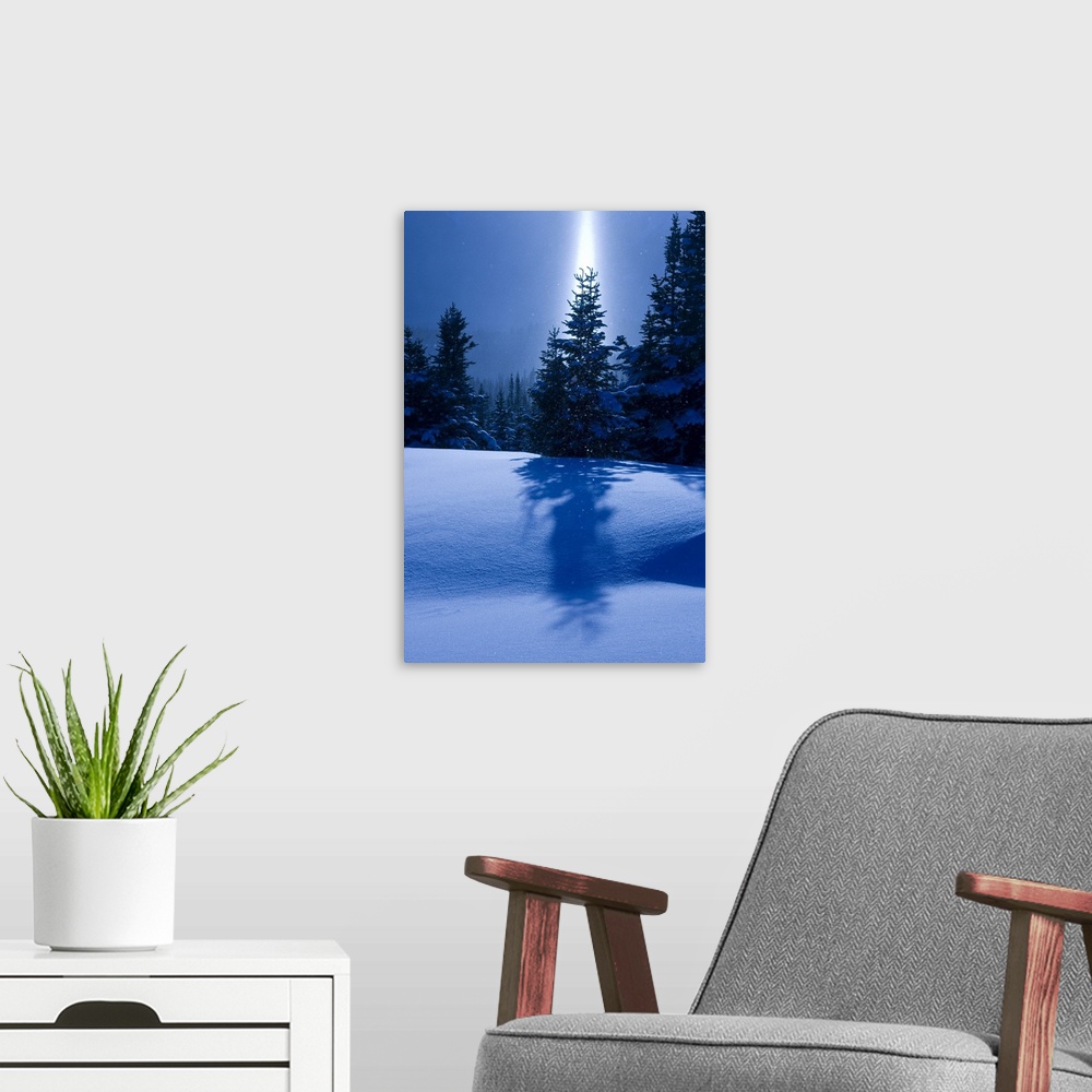 A modern room featuring Canada, British Columbia, Smithers. A sun pillar of falling ice crystals and snow-laden spruce tr...