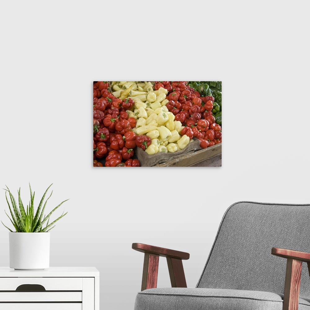 A modern room featuring Canada, British Columbia, Cowichan Valley, Duncan. Red and yellow peppers for sale.