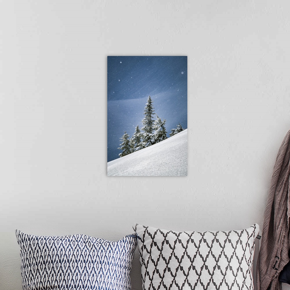 A bohemian room featuring Canada, British Columbia. Lone tree on alpine slope in winter snow.