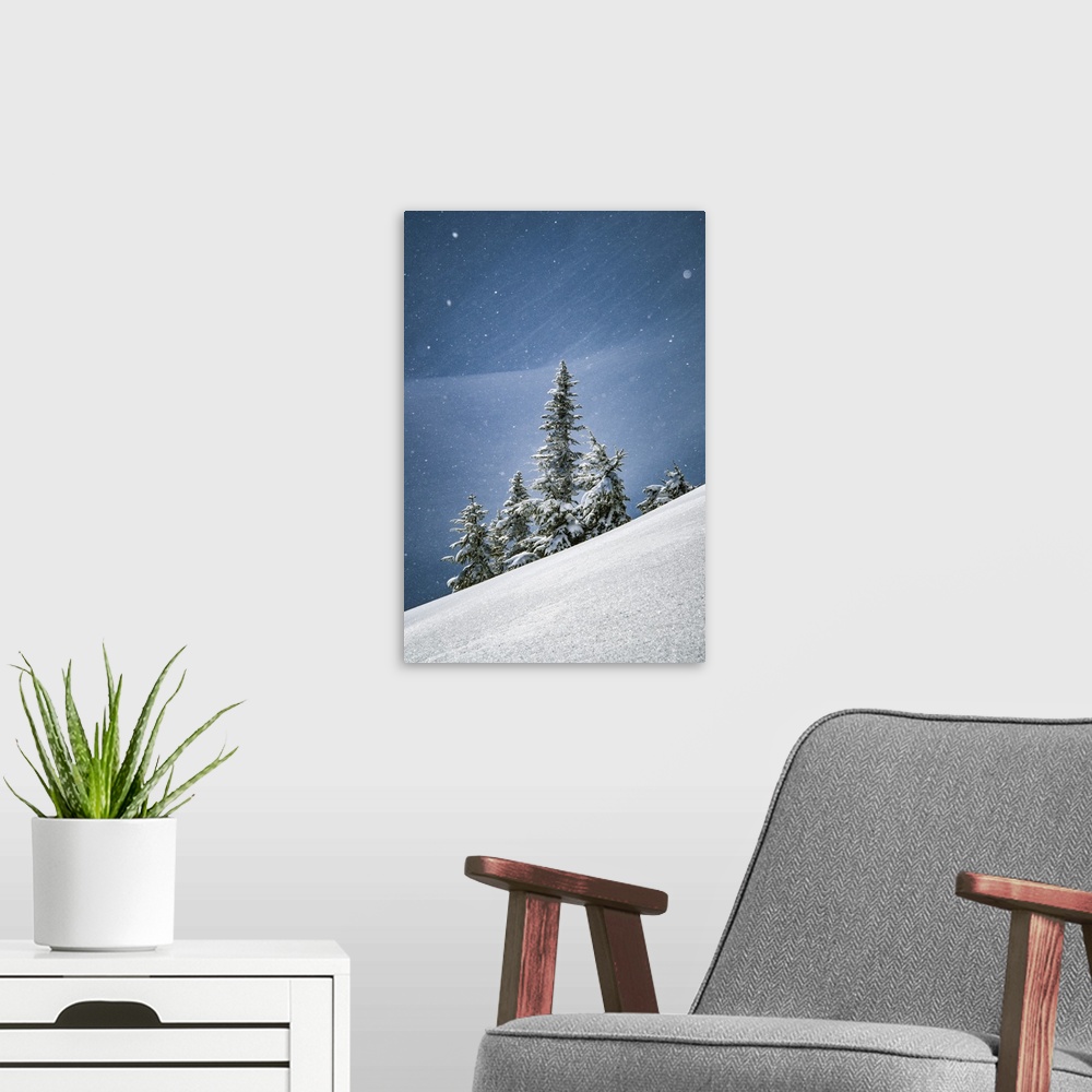 A modern room featuring Canada, British Columbia. Lone tree on alpine slope in winter snow.